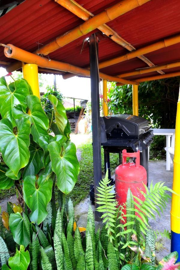 Casa Finca campesina Villa Luz Montenegro Exterior foto